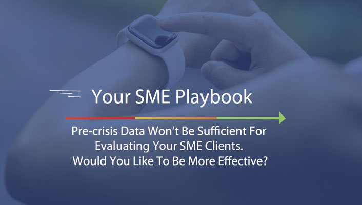 Sme Playbook CRIF