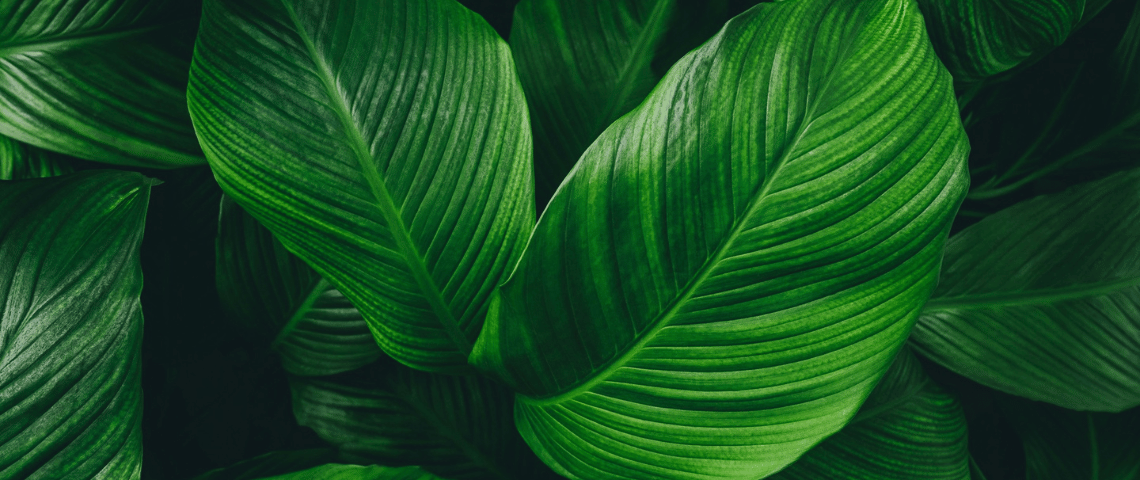 CRIF Global ESG Strategy