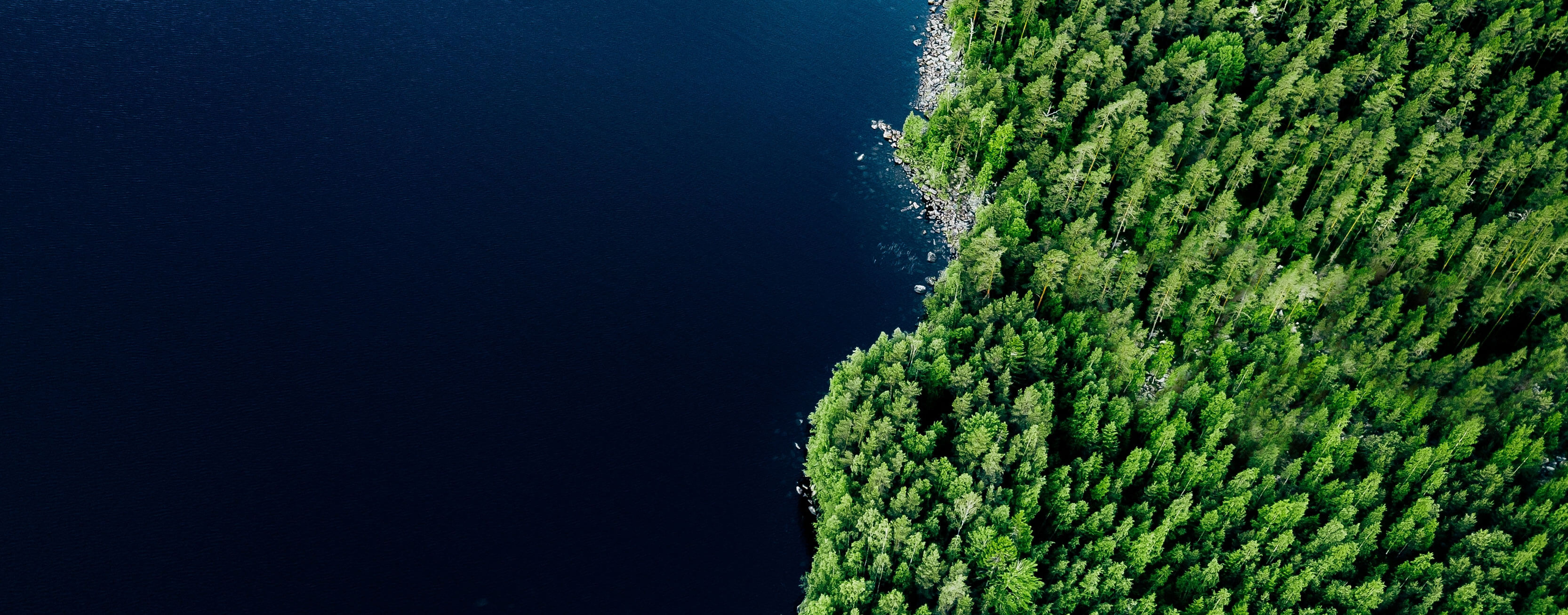Esg CRIF Sustainability