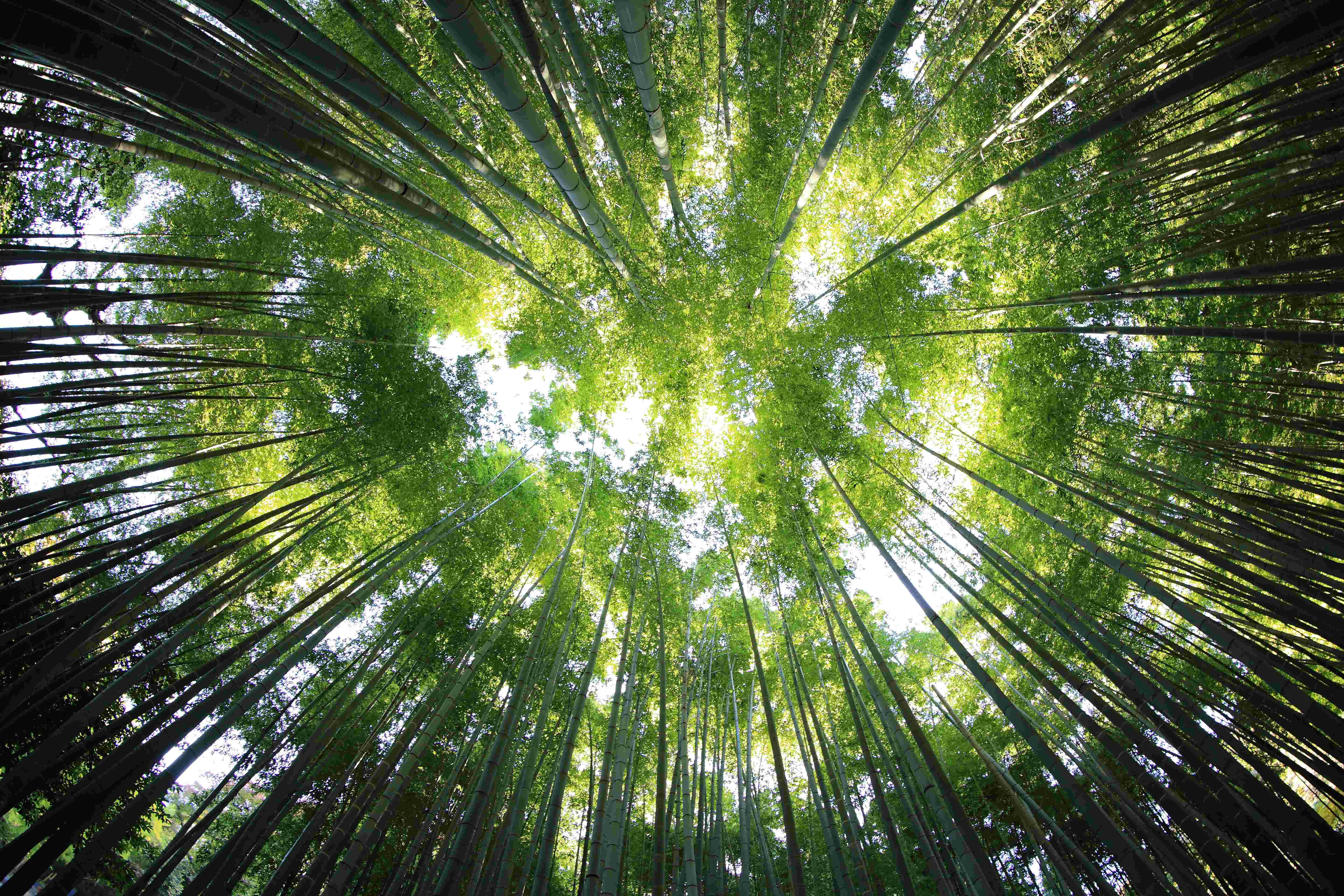 Esg Guide Strategies Drivers And Impacts CRIF