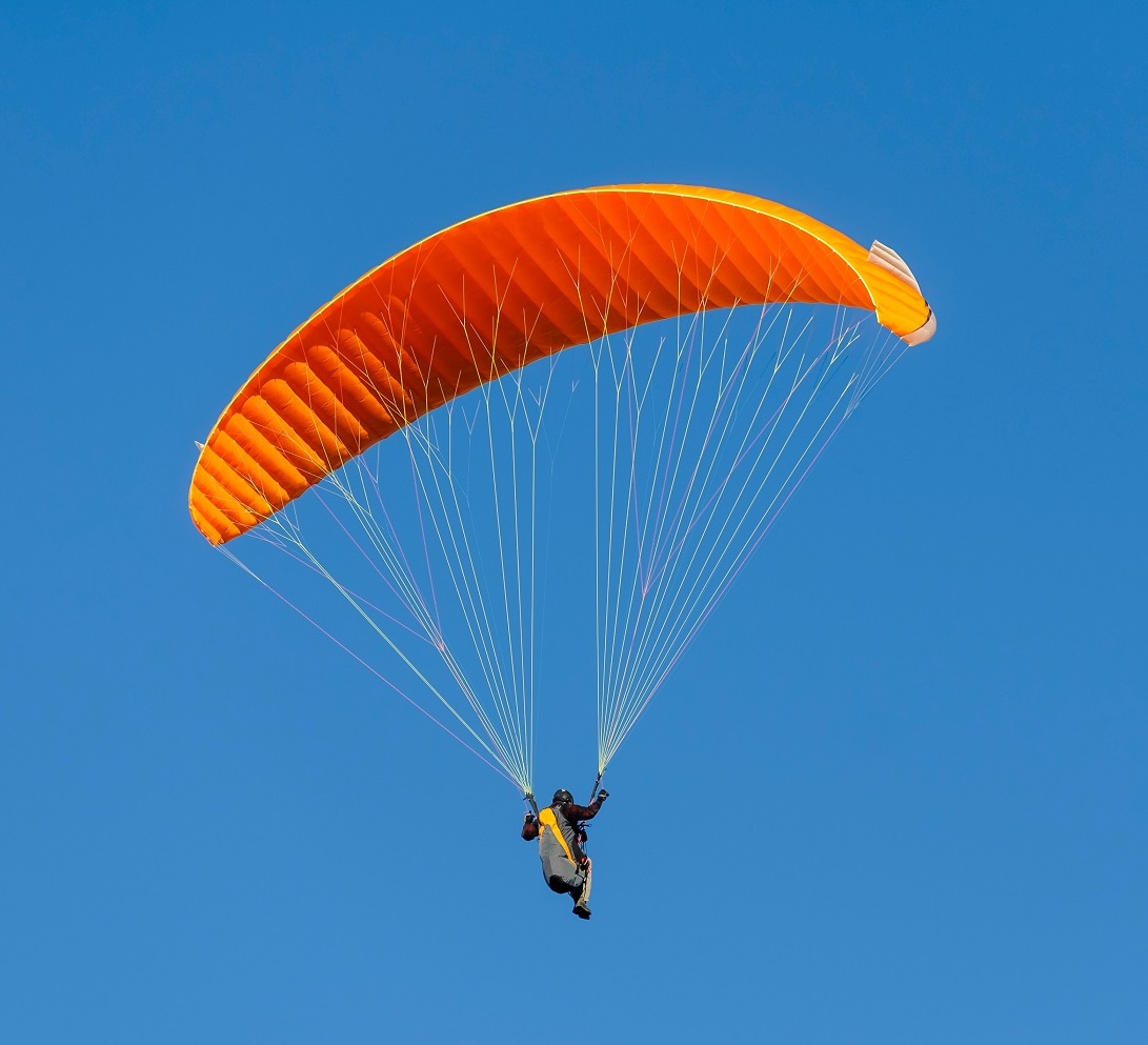 Insurance CRIF insurance fraud