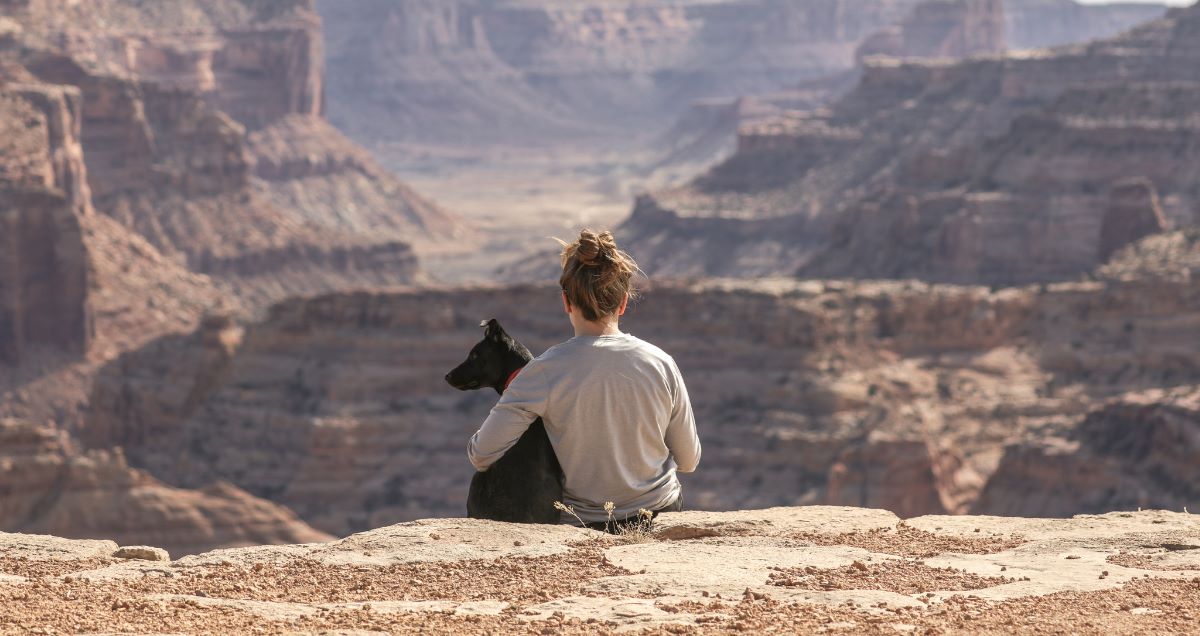 End To End Solutions For Pet Insurers CRIF