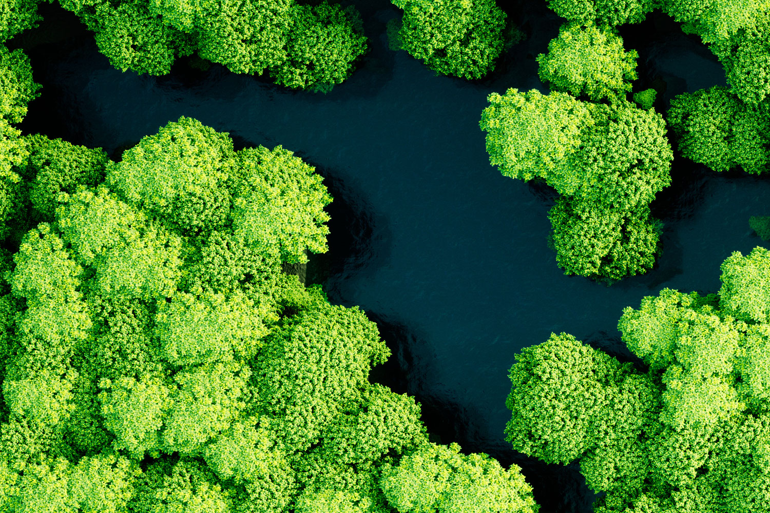 ESG Complinace Sustainability 1