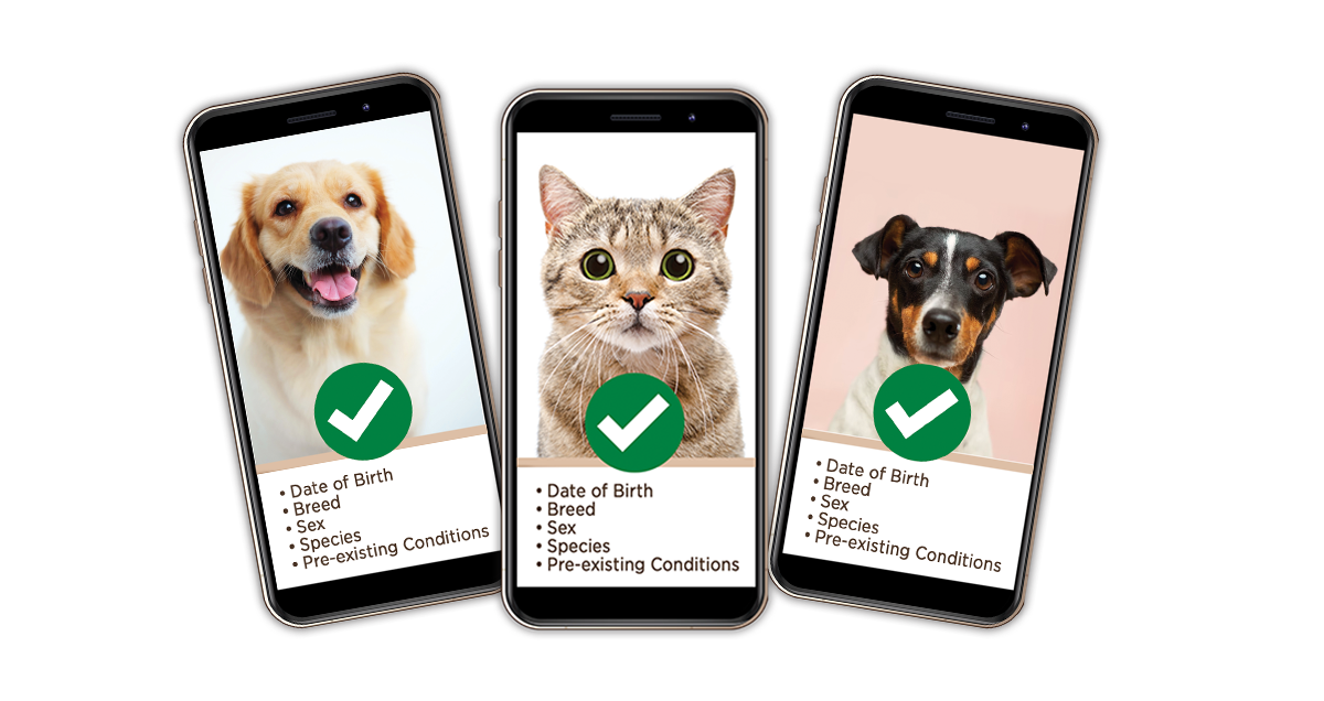CRIF Pet Check News